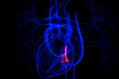 Tricuspid Trio: TRISCEND, CLASP TR, and TriBAND Studies Show Advances 